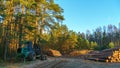 Logging equipment in the forest, loading logs for transportation. Harvesting and storage of wood in the forest. Transportation of Royalty Free Stock Photo