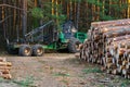 Logging equipment in the forest, loading logs for transportation. Harvesting and storage of wood in the forest. Transportation of Royalty Free Stock Photo