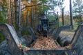 Logging equipment in the forest, loading logs for transportation. Harvesting and storage of wood in the forest. Transportation of Royalty Free Stock Photo