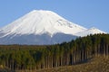 Logging in Japan Royalty Free Stock Photo