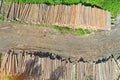 Logging, log cabin trunks of conifers, top aerial view