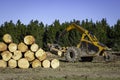 Logging machinery at work stacking logs