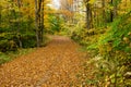 Logging road in autumn Royalty Free Stock Photo