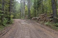 Logging road in Northern Wisconsin Royalty Free Stock Photo