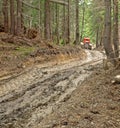 Logging road with a red vehicle Royalty Free Stock Photo