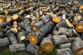 Logging and storage of firewood Royalty Free Stock Photo