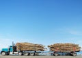 Logging Truck Royalty Free Stock Photo