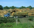 Logging truck