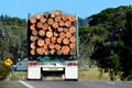 Logging truck