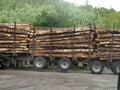 Logging Truck Royalty Free Stock Photo