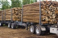 Logging truck Royalty Free Stock Photo