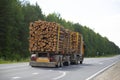 Logging truck carries logs on the road in the summer