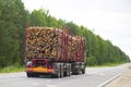 Logging truck carries logs on the road in the summer