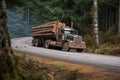 logging truck with full load rushing on a forest road curve Royalty Free Stock Photo