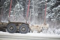 A logging truck on ice went into a ditch. Accident on the road in winter Royalty Free Stock Photo