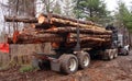 Logging Truck Loaded Royalty Free Stock Photo