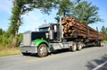 Logging truck traveling in Georgia, USA. Royalty Free Stock Photo