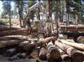 Logging Truck Using Lifter Tongs To Load Royalty Free Stock Photo