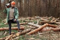 Logging, Worker in a protective suit with a chainsaw. Cutting down trees, forest destruction. The concept of industrial Royalty Free Stock Photo