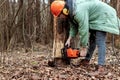 Logging, Worker in a protective suit with a chainsaw sawing wood. Cutting down trees, forest destruction. The concept of Royalty Free Stock Photo