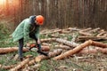 Logging, Worker in a protective suit with a chainsaw sawing wood. Cutting down trees, forest destruction. The concept of Royalty Free Stock Photo