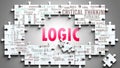 Logic as a complex subject, related to various topics and ideas on a puzzle