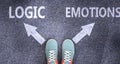 Logic and emotions as different choices in life - pictured as words Logic, emotions on a road to symbolize making decision and
