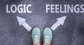 Logic and feelings as different choices in life - pictured as words Logic, feelings on a road to symbolize making decision and