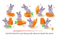 Logic game for smartest. 3D puzzle. Find the friend for each bunny with whom he shared the carrot. Play online. Developing spatial