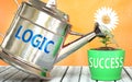Logic helps achieving success - pictured as word Logic on a watering can to symbolize that Logic makes success grow and it is