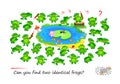 Logic puzzle for children and adults. Can you find two identical frogs? Page for kids brain teaser book. Task for attentiveness. Royalty Free Stock Photo