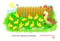 Logic puzzle game for children and adults. Find two identical ducklings. Memory exercises for seniors. Page for brain teaser book