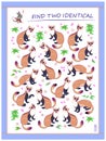 Logic puzzle game for children and adults. Find two identical ferrets. Memory exercises for seniors. Page for kids brain teaser