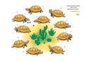 Logic puzzle game for children and adults. Find two identical turtles. Memory exercises for seniors. Page for kids brain teaser