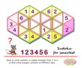 Logic puzzle game for the smartest. Need to write numbers in empty triangles from 1 to 6 so that every hexagon contains six