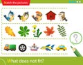 Logic puzzle for kids. What does not fit? Birdies. Leaves. Transport or vehicle. Matching game, education game for children.