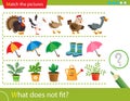 Logic puzzle for kids. What does not fit? Farm bird or poultry. Umbrellas. Indoor plants. Education game for children. Worksheet Royalty Free Stock Photo