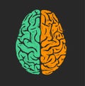 Logical and creative human brain. Isolated hand drawn vector illustration on black background Royalty Free Stock Photo