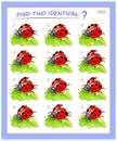 Logical puzzle game for little children. Need to find two identical ladybirds. Educational page for kids.