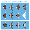 Logical task. Find what image from the second set is missing in