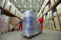 Logistic - workers in storehouse Royalty Free Stock Photo