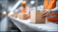 Logistics company workers efficiently handling cardboard boxes on an assembly line conveyor belt in a modern warehouse environment Royalty Free Stock Photo