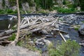 Logjam on the Lewis River, weathered logs caught up on rocks, Yellowstone National Park, USA