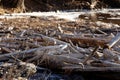 A logjam in the St Louis River in Minnesota