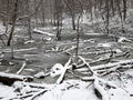 Logjam at the Swamp in February