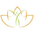 Person in motion and leaves, naturopath and physiotherapy logo