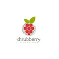 fresh logo shurbbery  with nest as shrubery and fruit berry vector Royalty Free Stock Photo