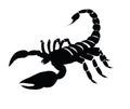 Scorpion silhouette on isolated backgroud