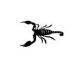 Scorpion silhouette isolated background