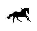 Running Horse silhouette. Black and white Royalty Free Stock Photo